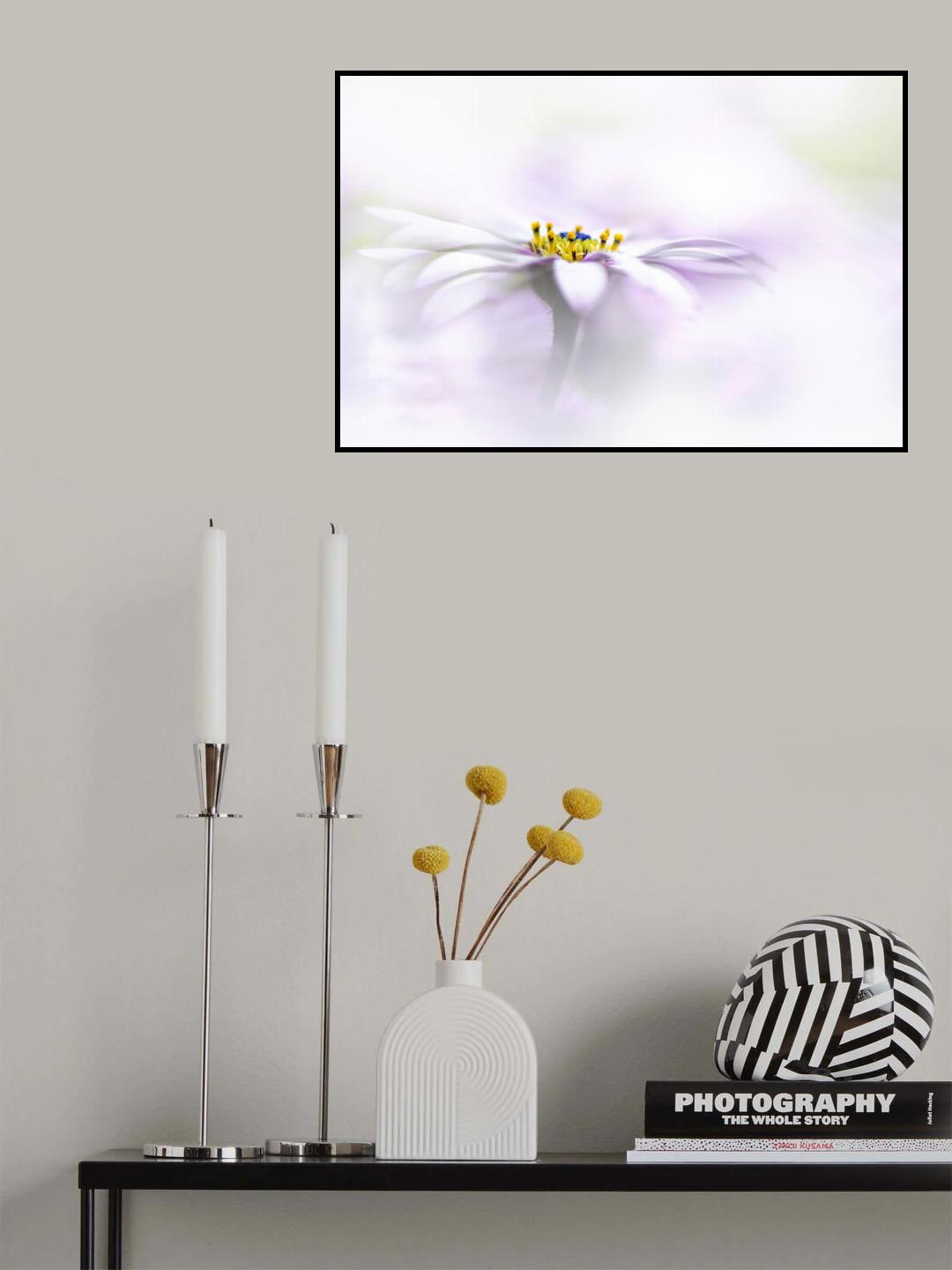 Purity Poster och Canvastavla