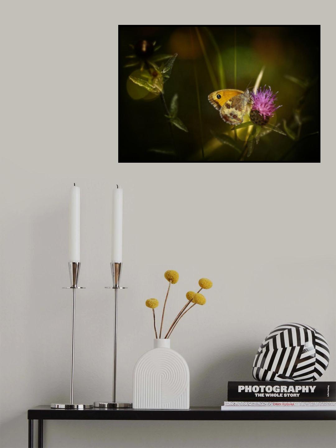Poster och Canvastavla