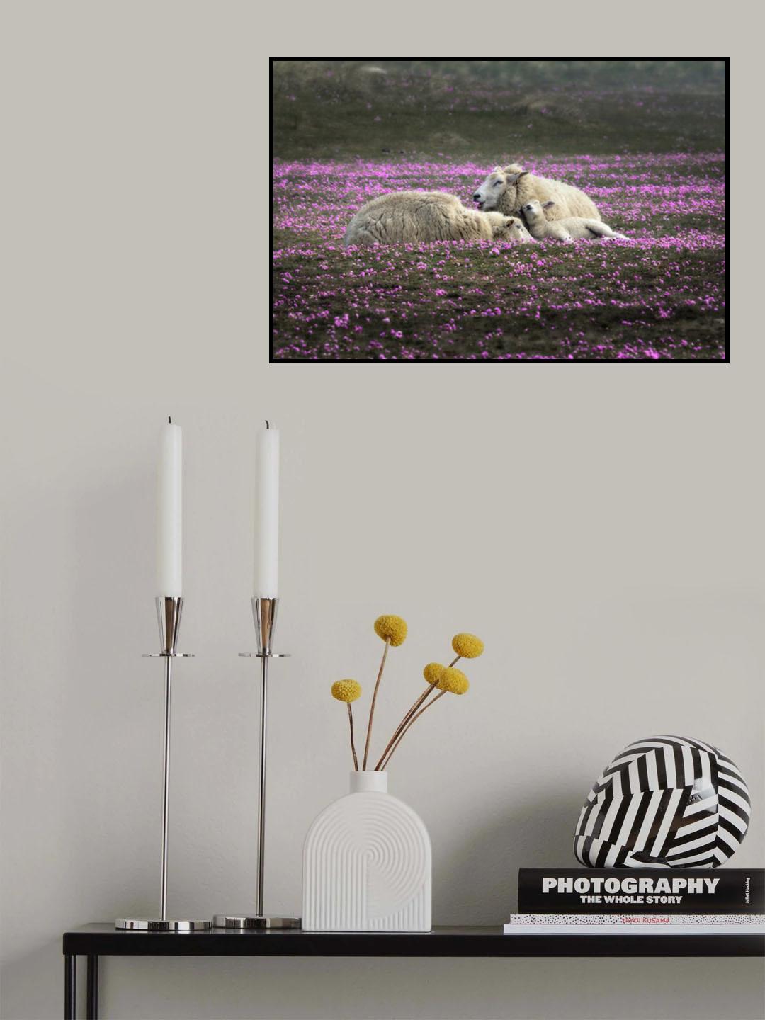 Dreaming in Pink Poster och Canvastavla