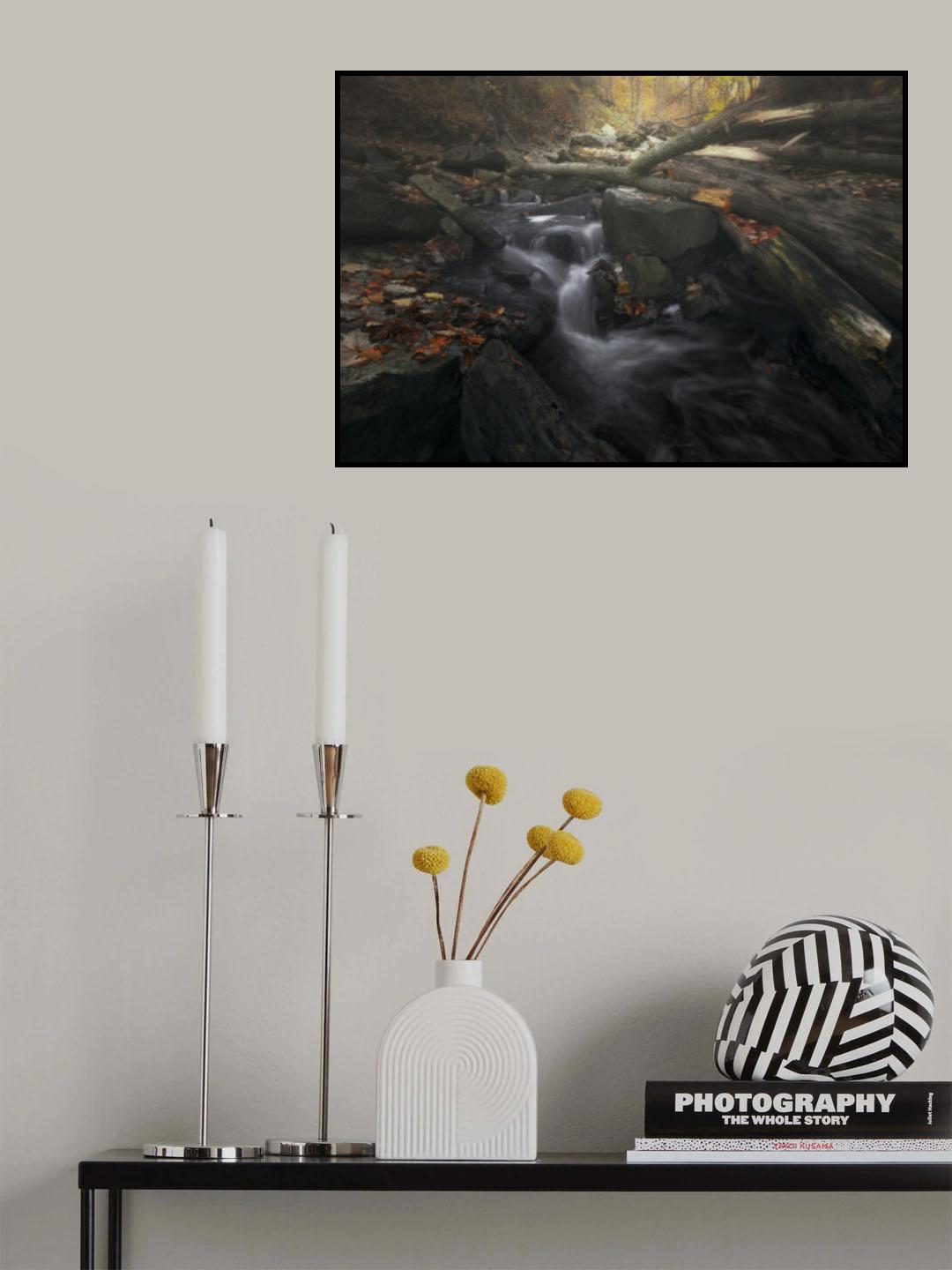 Autumn Poster och Canvastavla