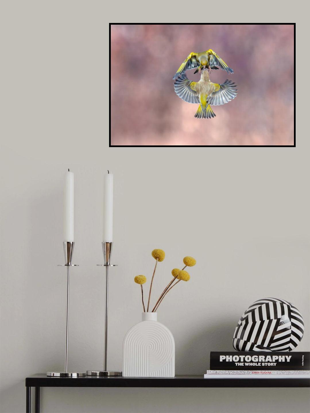 Wings & beak Poster och Canvastavla
