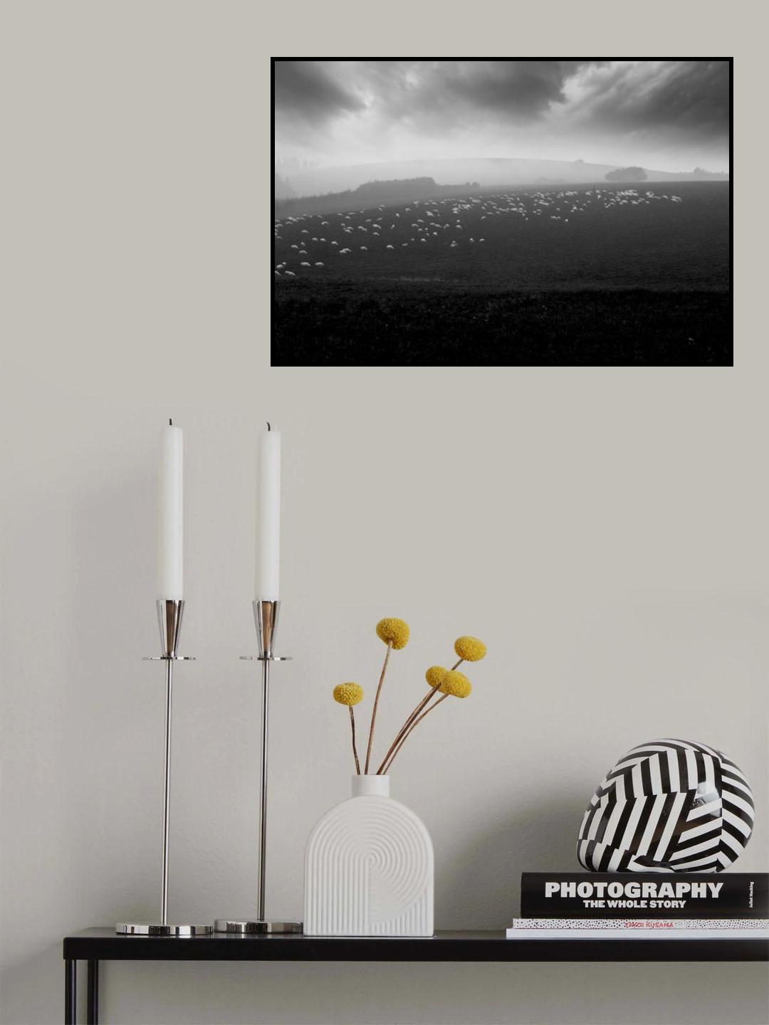 sea of sheeps Poster och Canvastavla