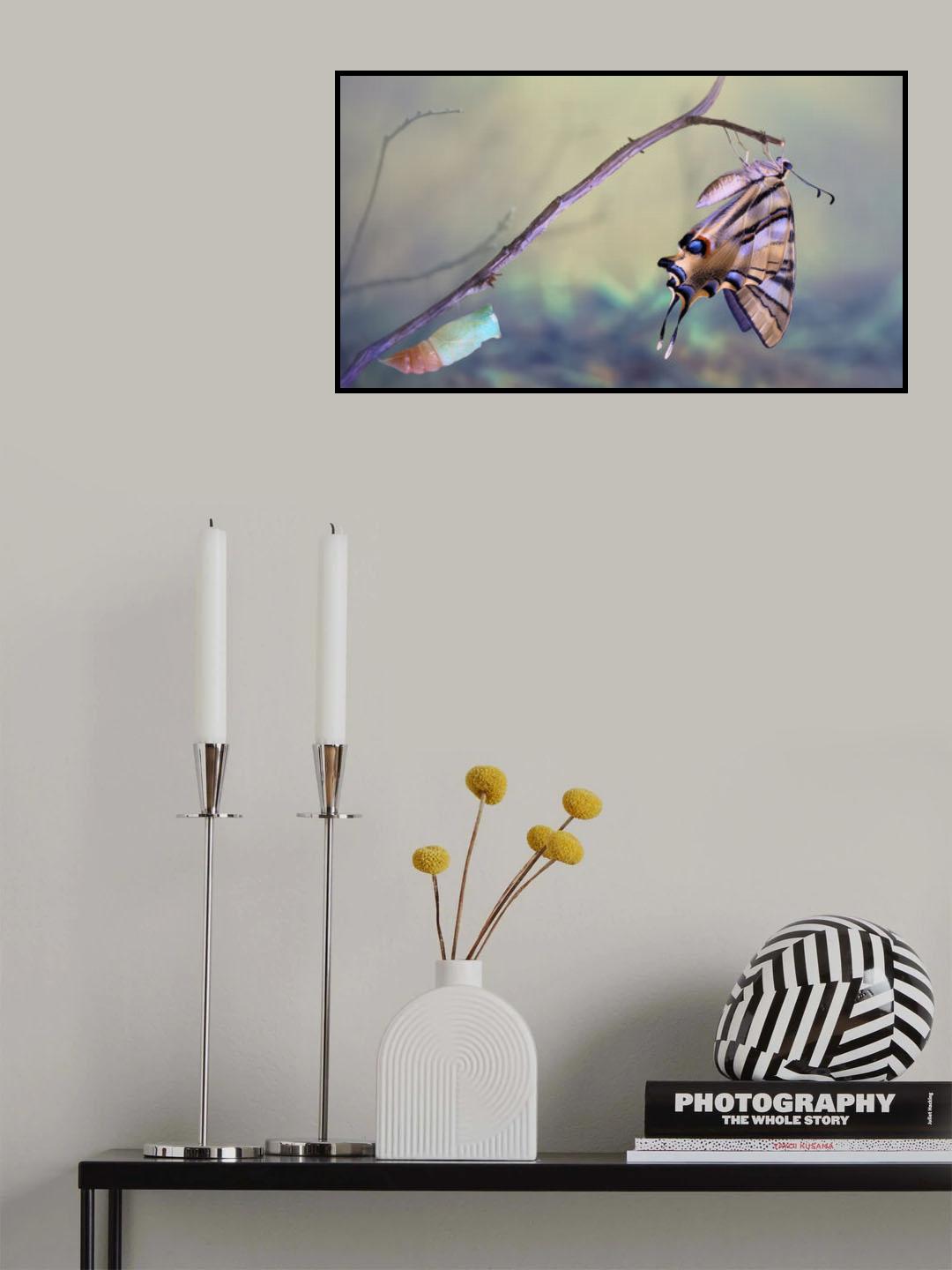 Birth of a swallowtail Poster och Canvastavla