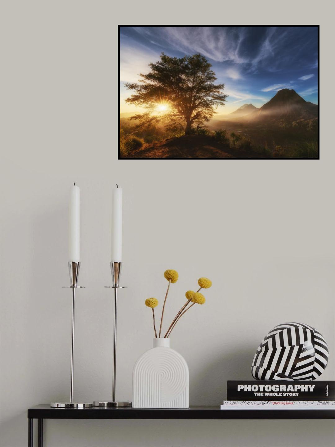 Pinggan tree. Poster och Canvastavla