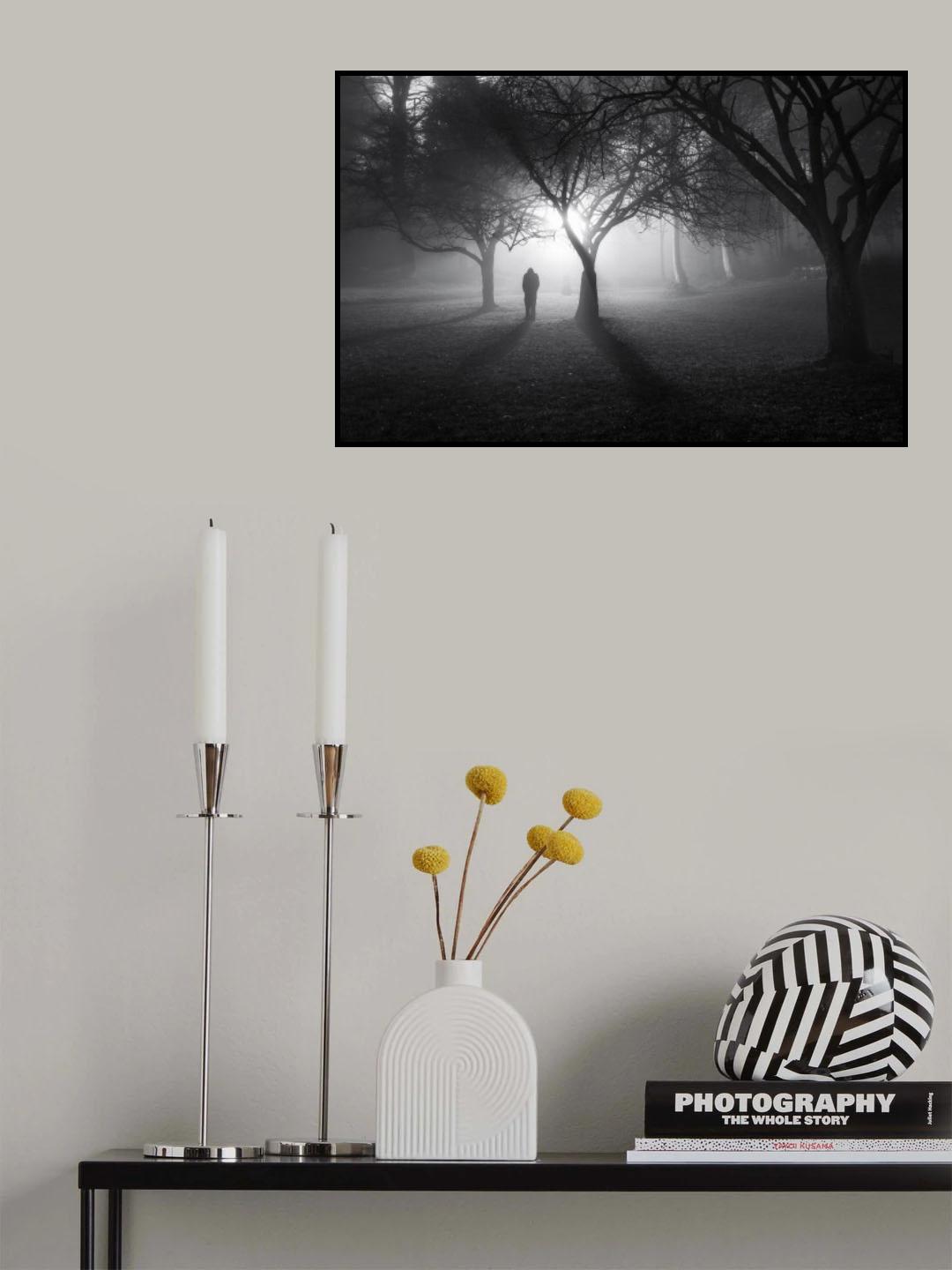 In a Land of Mist ! Poster och Canvastavla