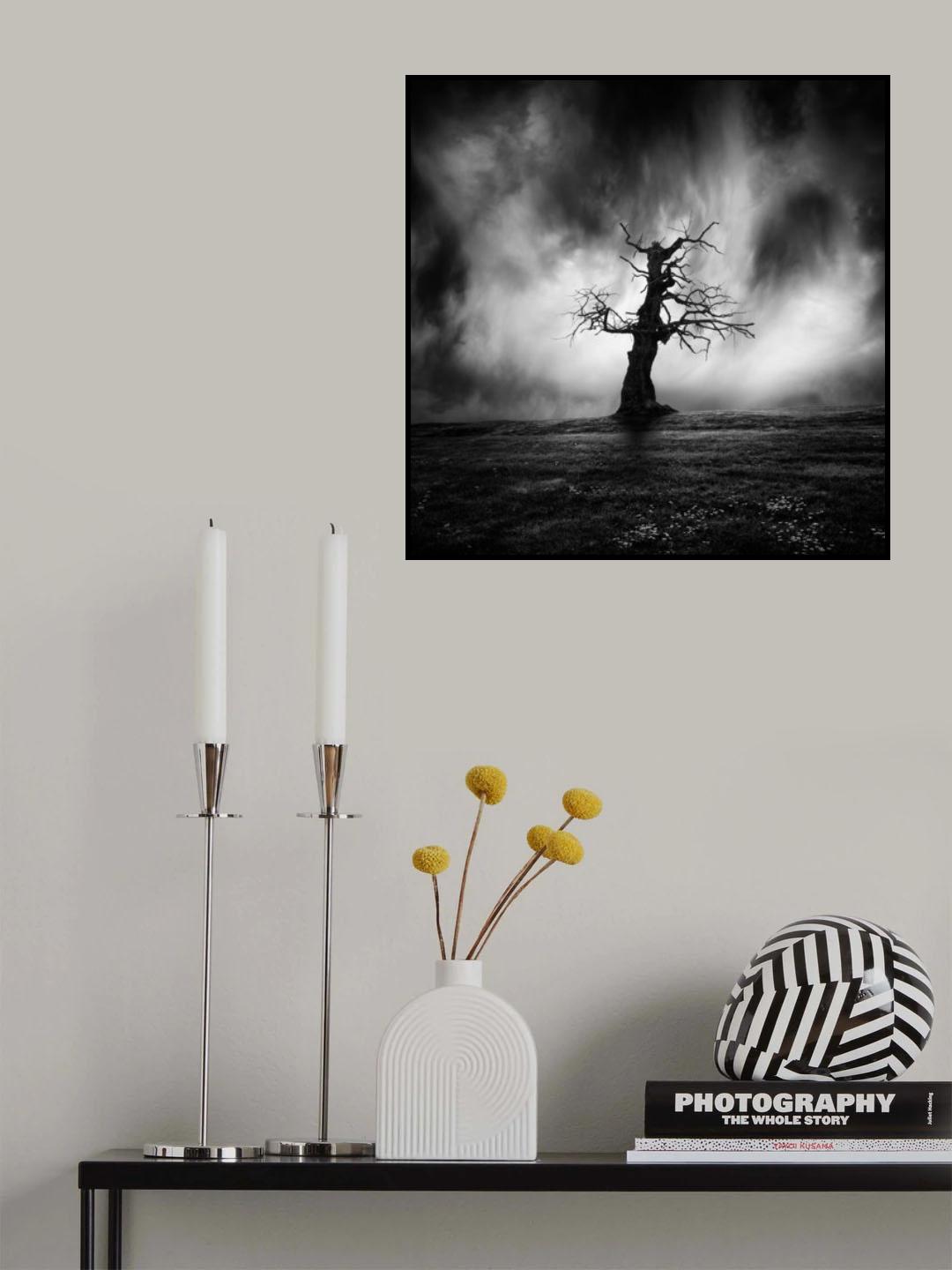 The Witch Poster och Canvastavla
