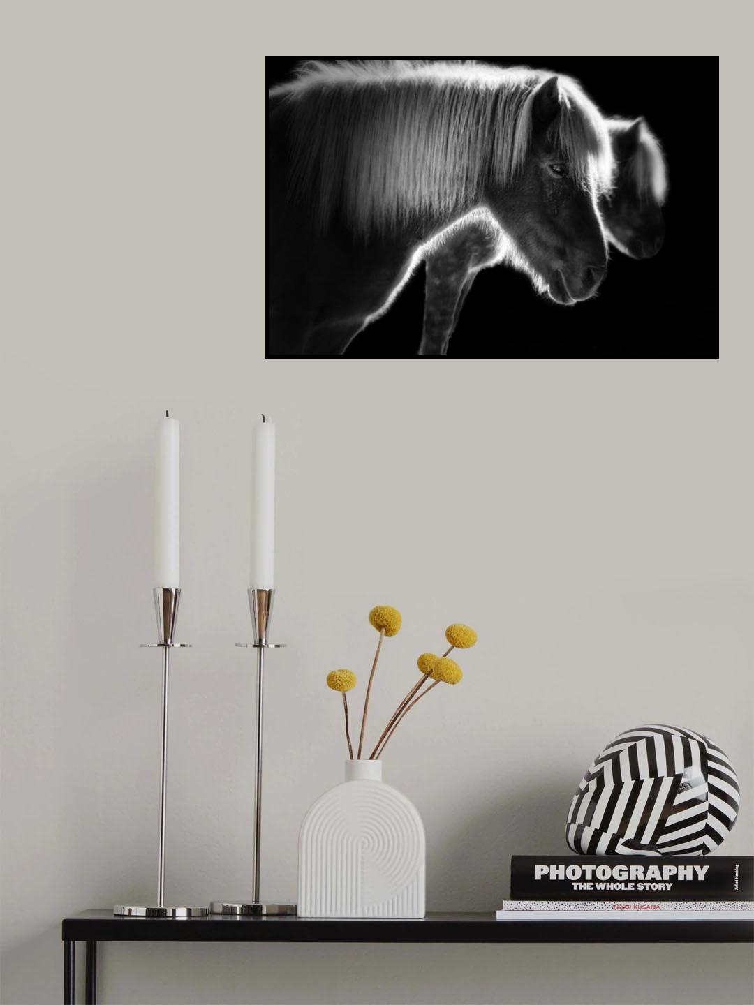 Two beautiful horses Poster och Canvastavla