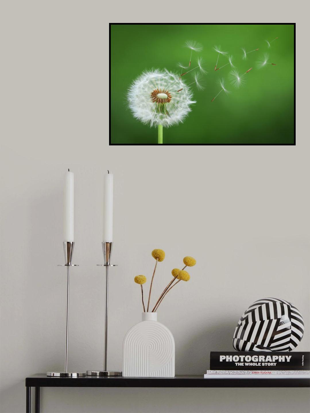 Dandelion Blowing Poster och Canvastavla