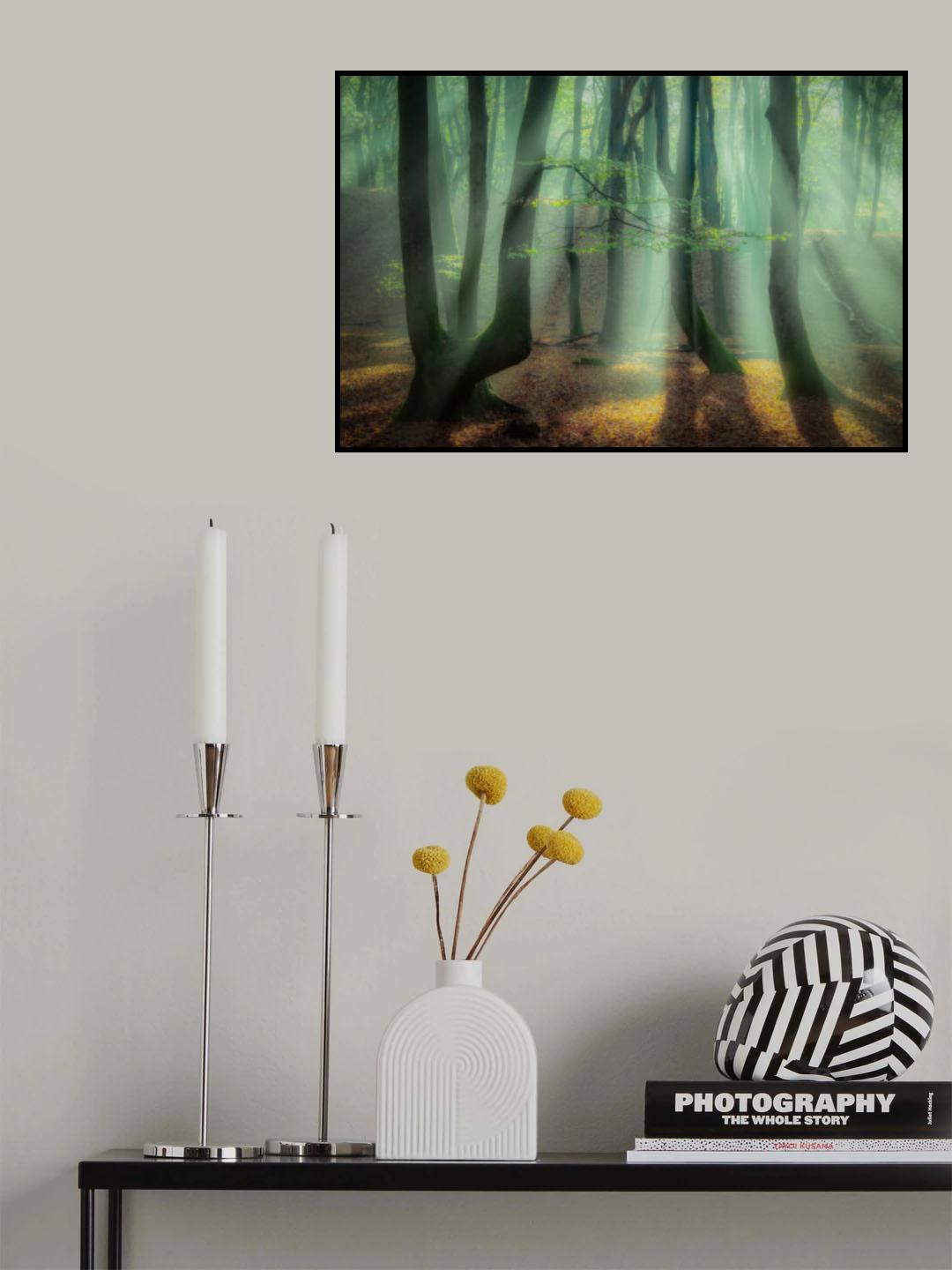 Magical forest. Poster och Canvastavla