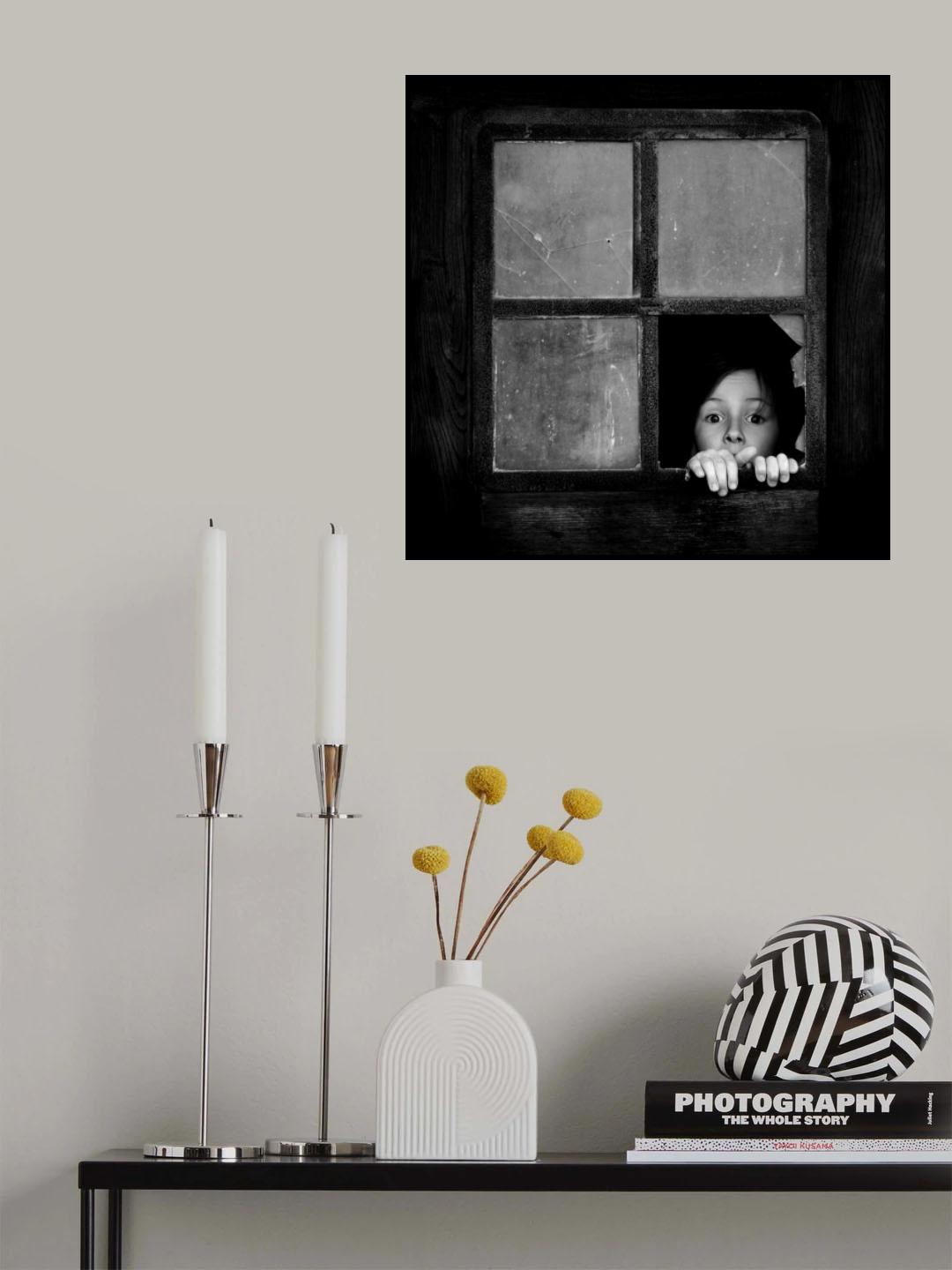 the window imp Poster och Canvastavla