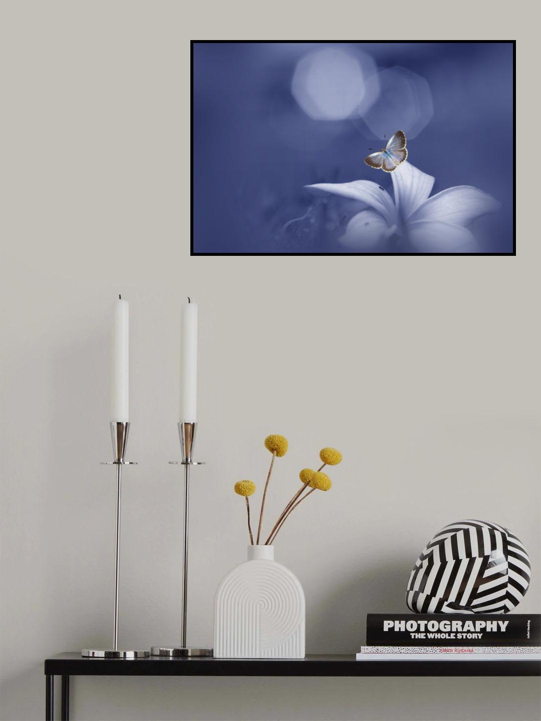 The Butterfly Longs For The Moon Poster och Canvastavla