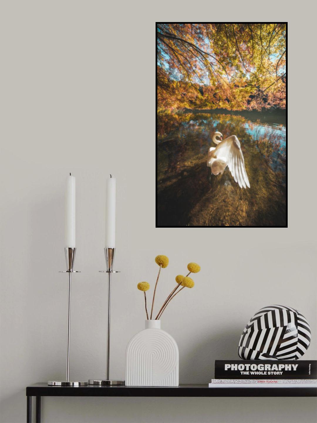 The lake of swan Poster och Canvastavla