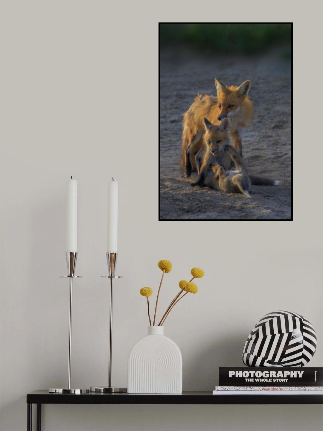 Fox Mother and Cub Poster och Canvastavla