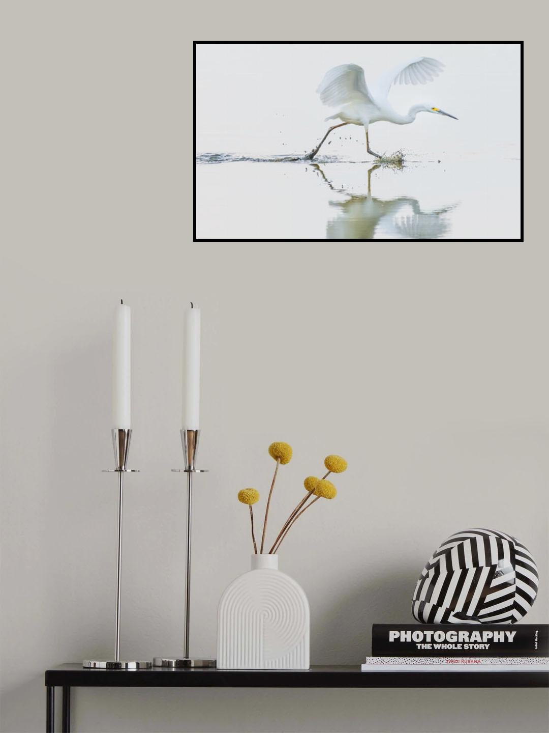 Poster och Canvastavla