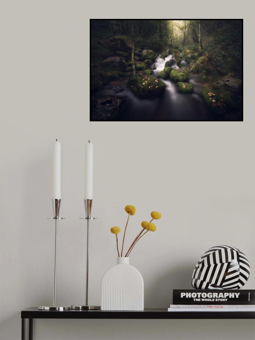 Magical forest Poster och Canvastavla