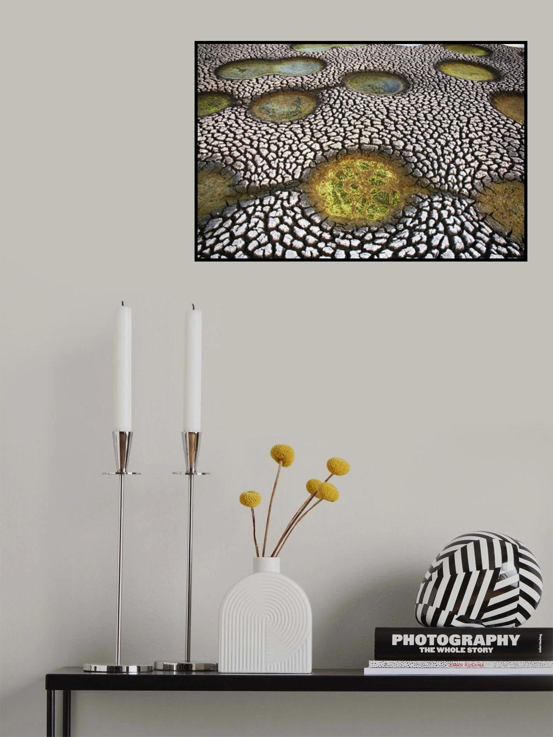 Poster och Canvastavla