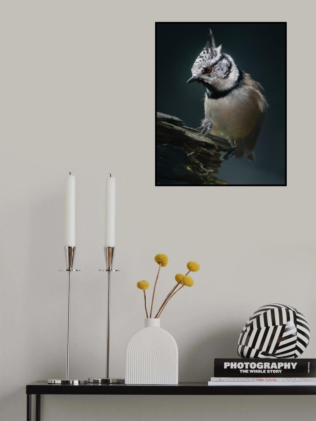 Crested Tit Poster och Canvastavla