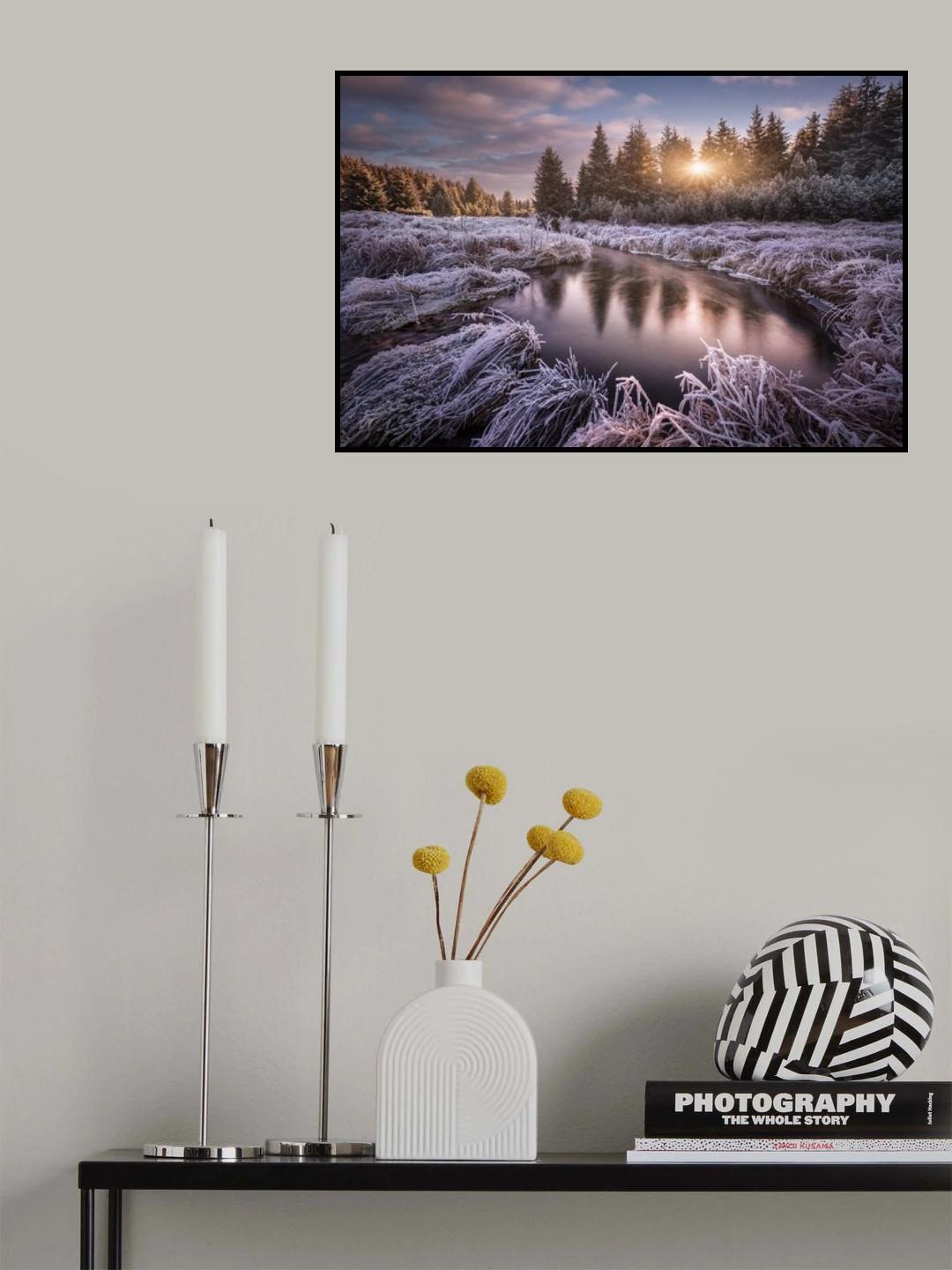 Frosty morning at the creek... Poster och Canvastavla