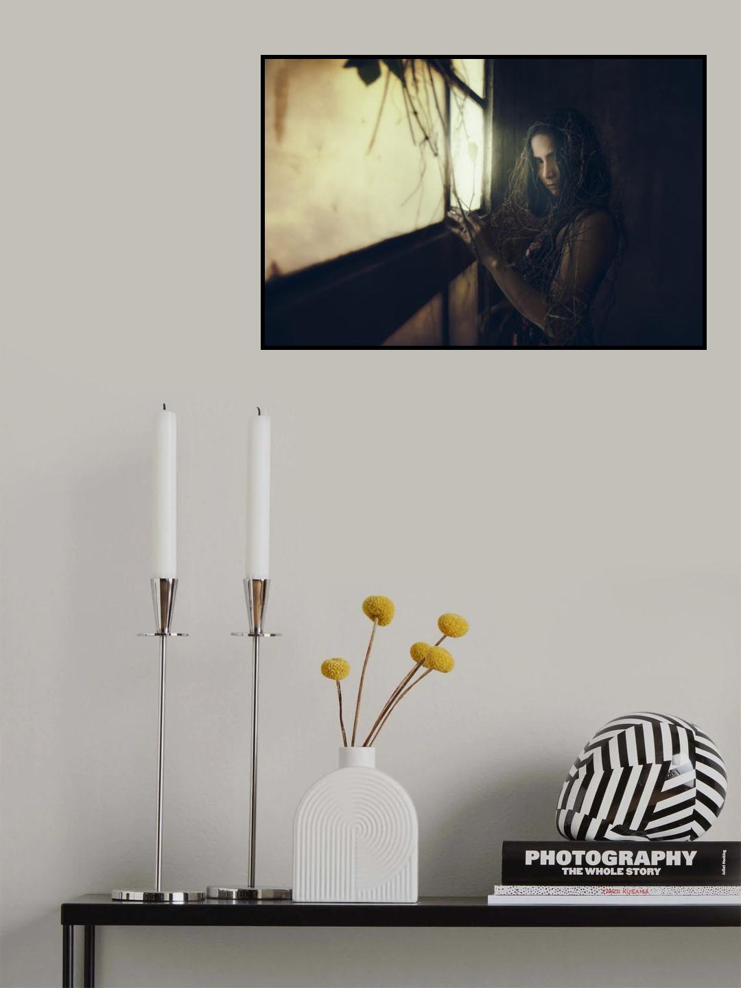 solitude Poster och Canvastavla