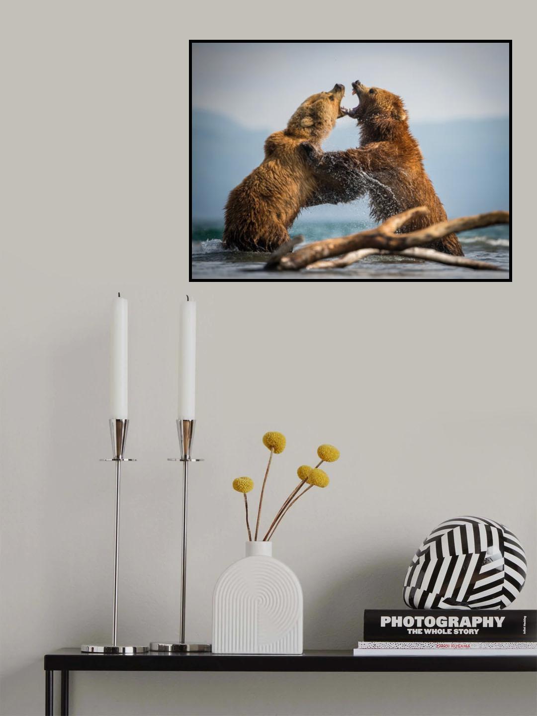 The Kamchatka brown bear, Ursus arctos Poster och Canvastavla