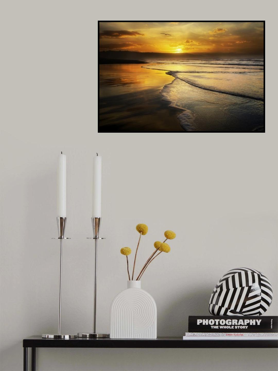 Xago Poster och Canvastavla