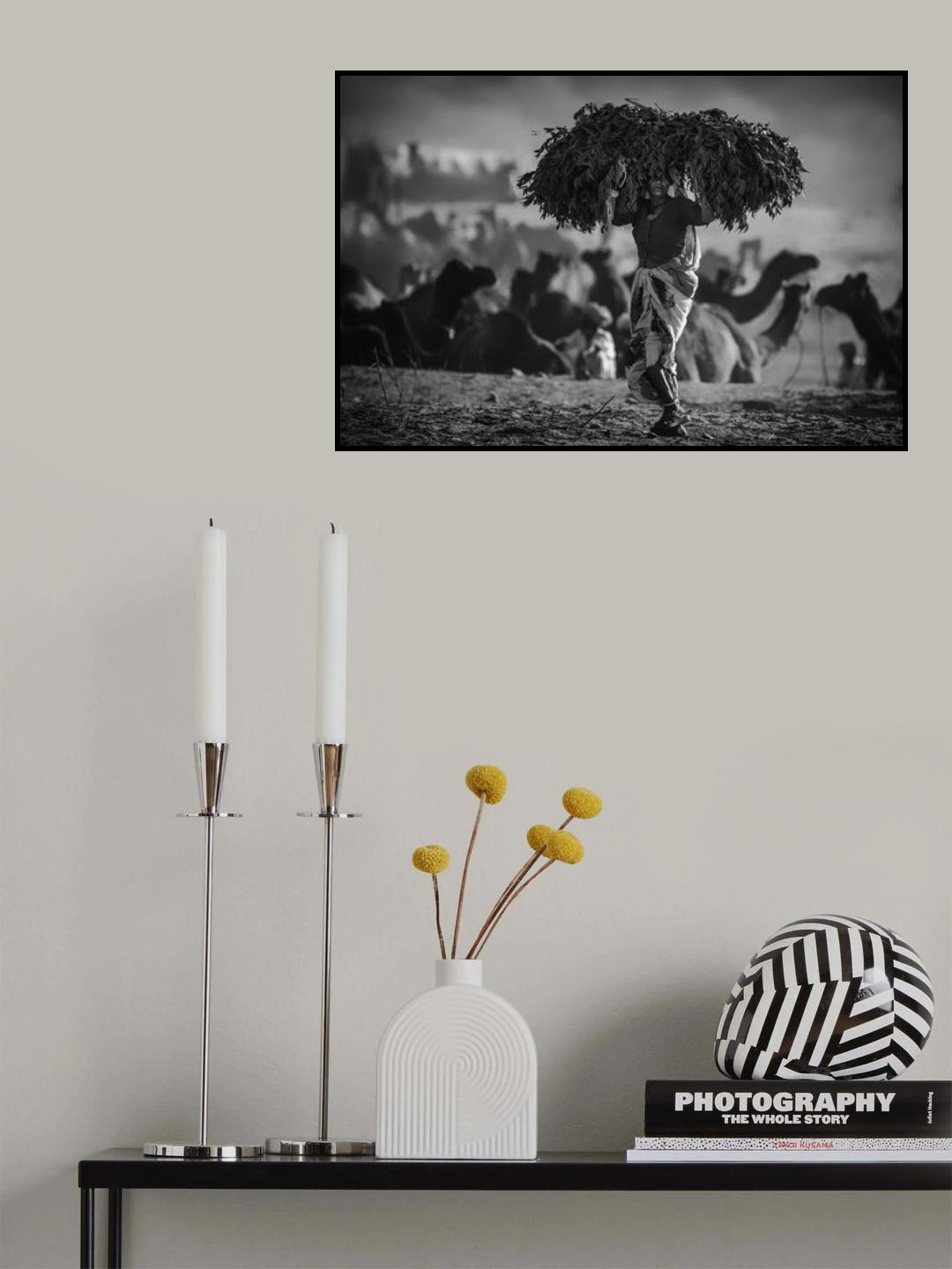 feed Poster och Canvastavla