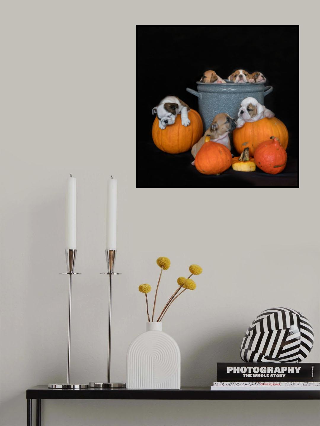 Just a portrait Poster och Canvastavla