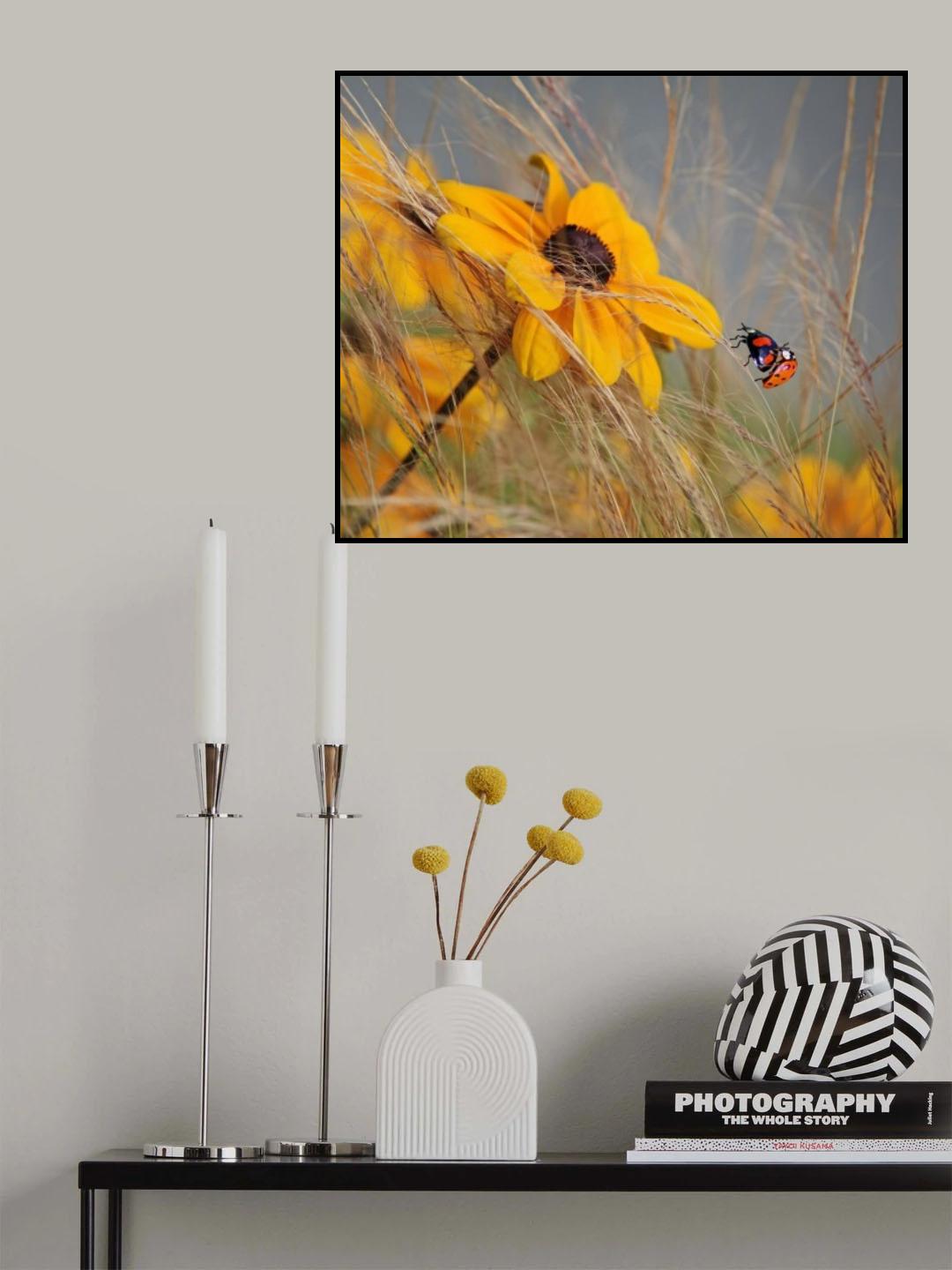 colors of summer Poster och Canvastavla