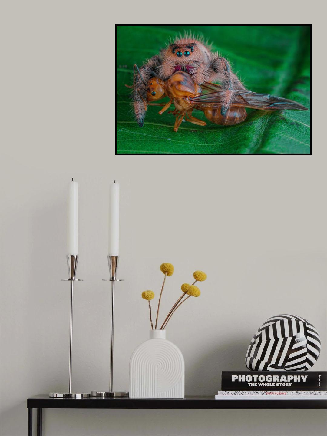 Big Cath Poster och Canvastavla