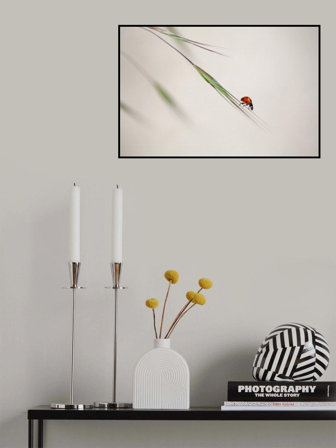 ladybug Poster och Canvastavla