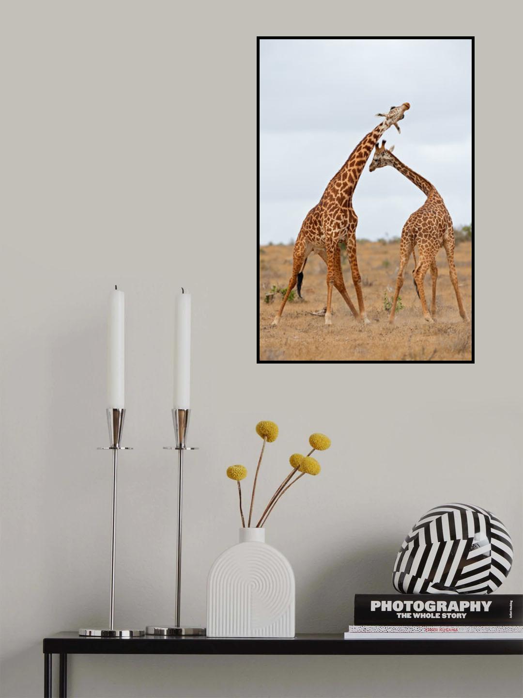 Necking Poster och Canvastavla