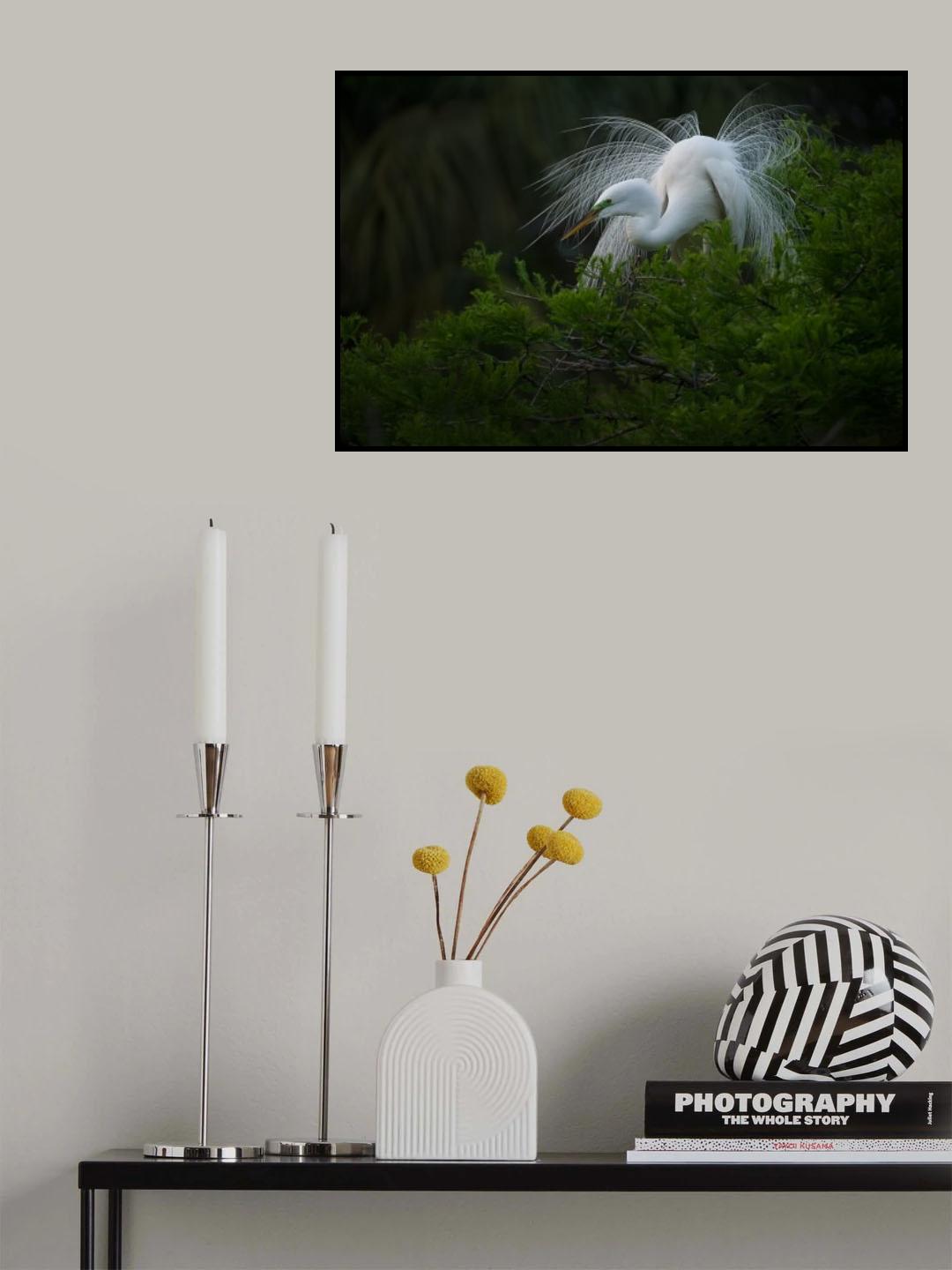 SWM... Poster och Canvastavla