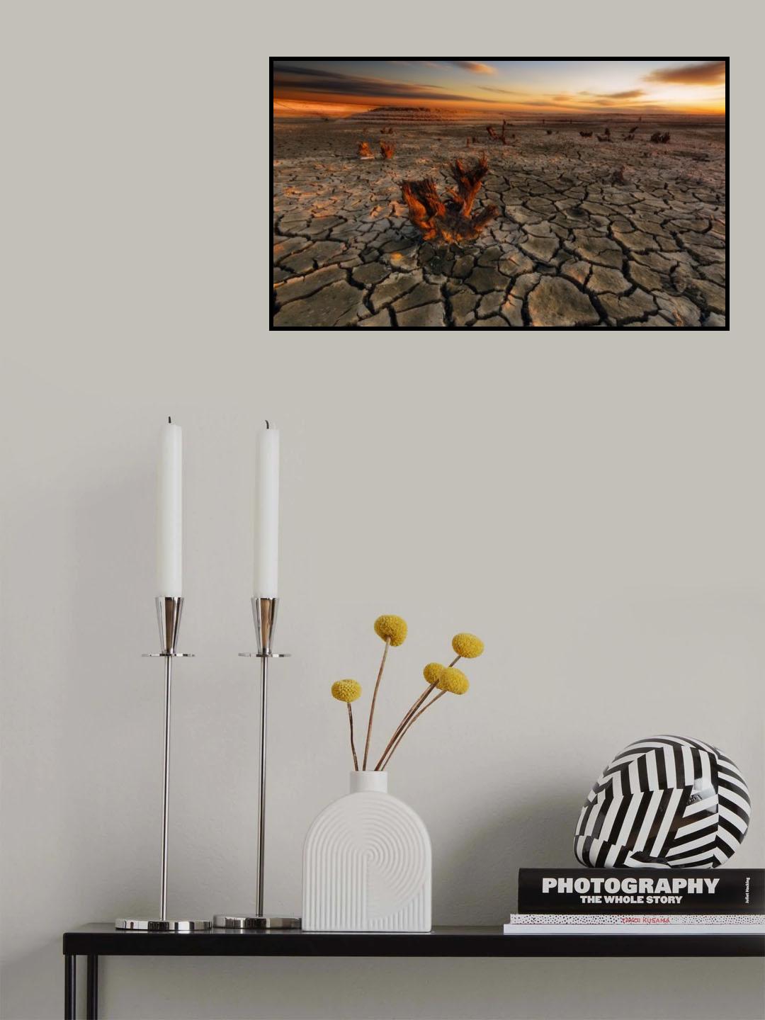 Dry lake Poster och Canvastavla