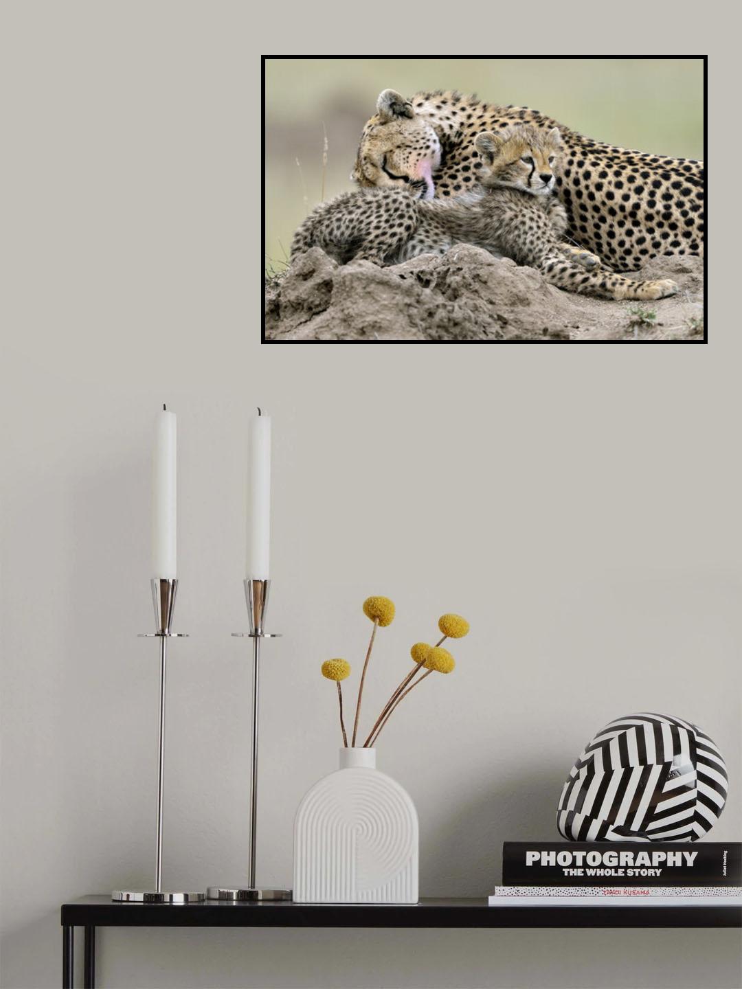 Tenderness Poster och Canvastavla