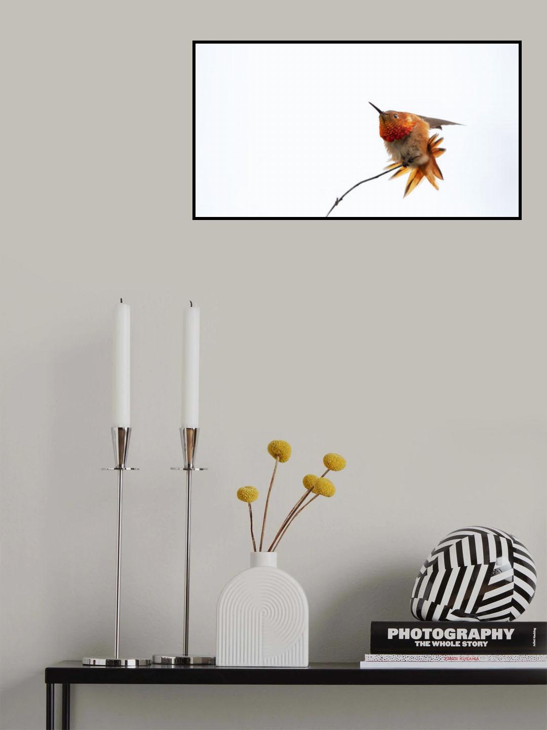 Little bird Poster och Canvastavla