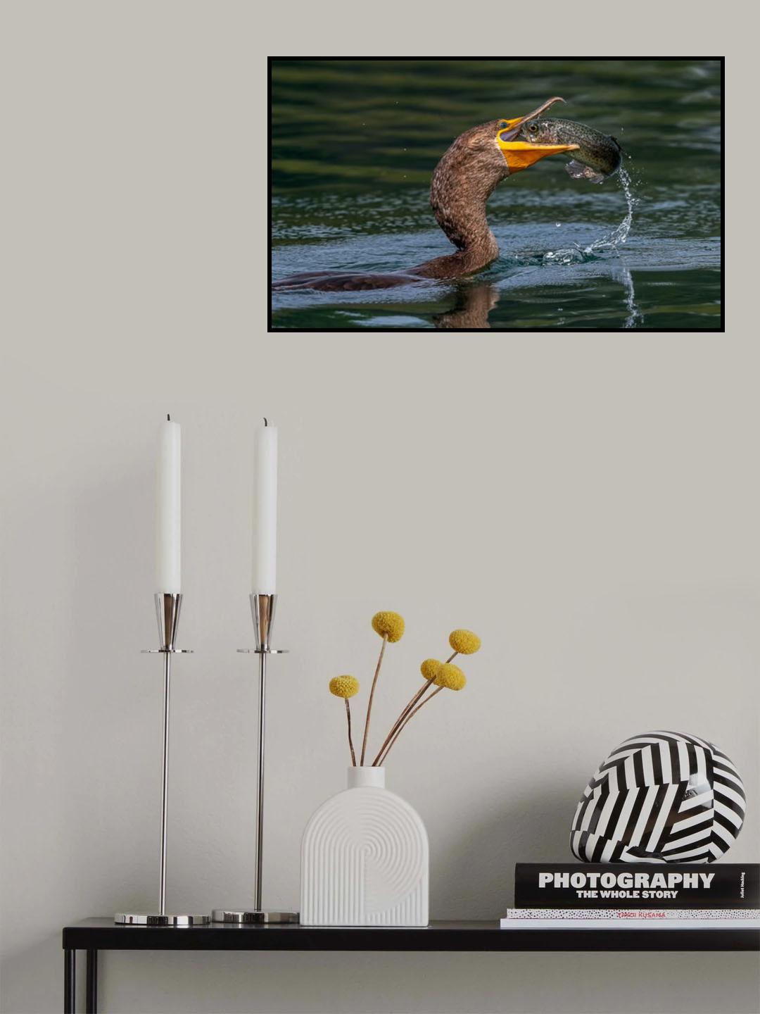 Catch Poster och Canvastavla