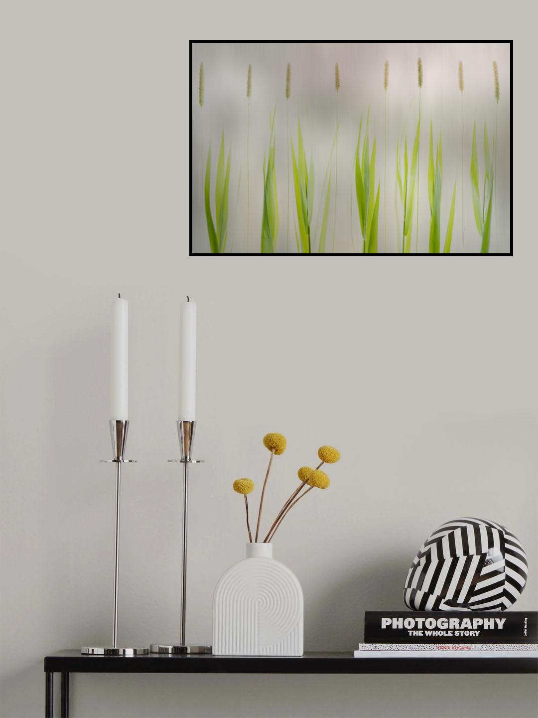 Harmony Poster och Canvastavla
