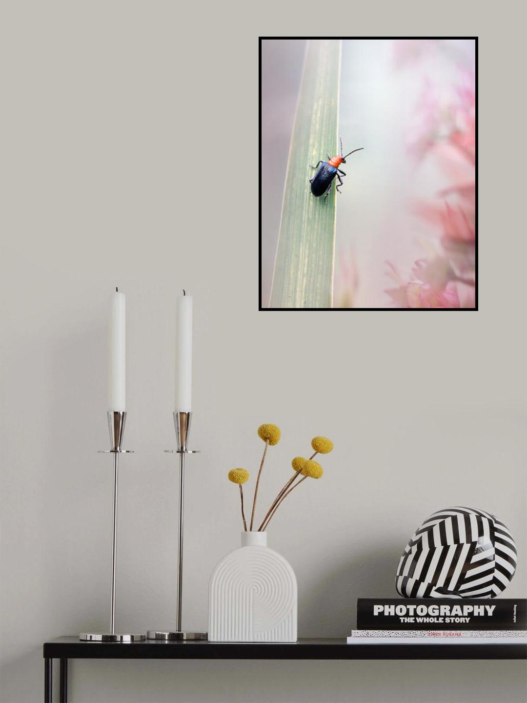 When Morning Comes Poster och Canvastavla