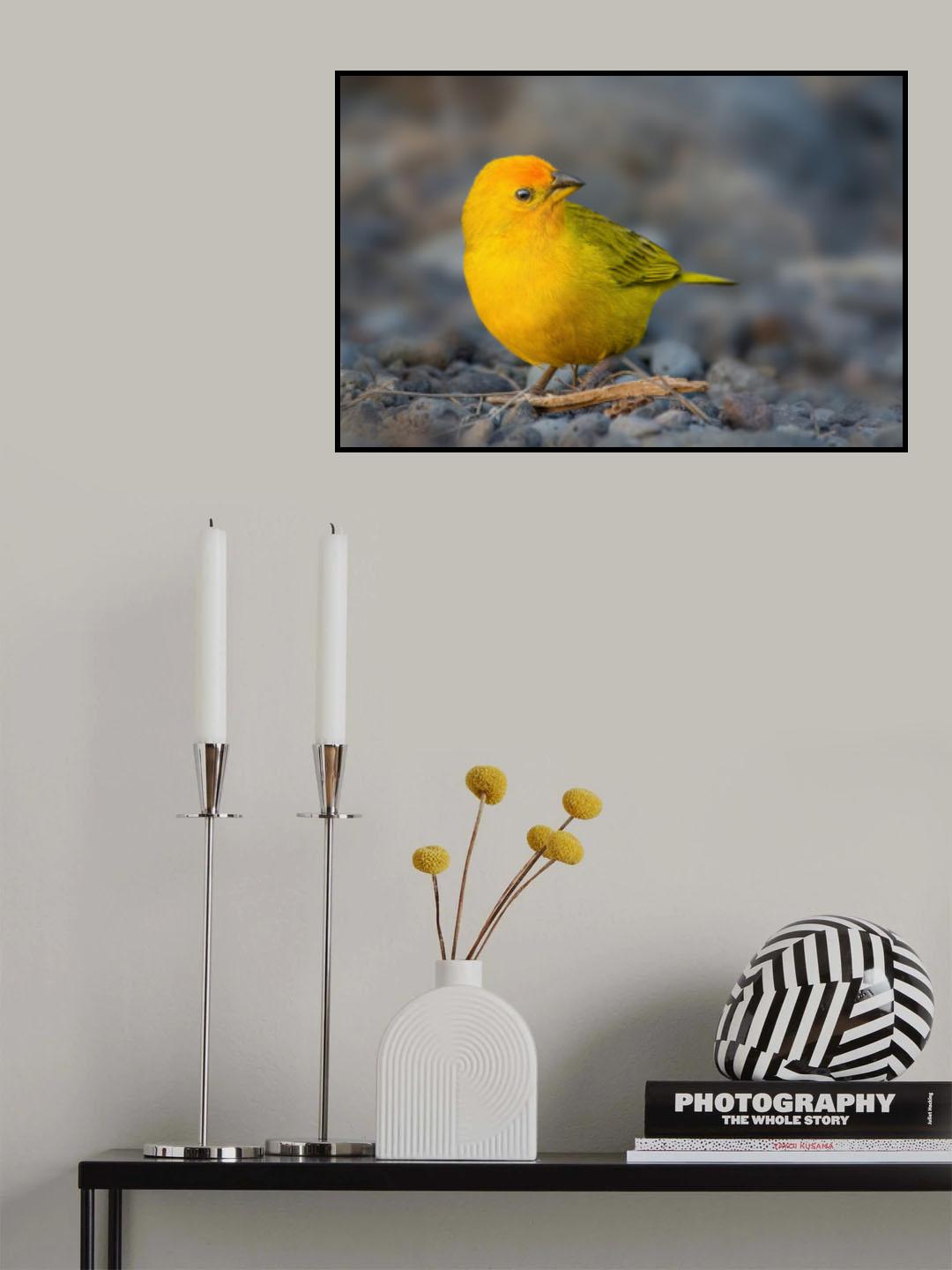 Looking back Poster och Canvastavla