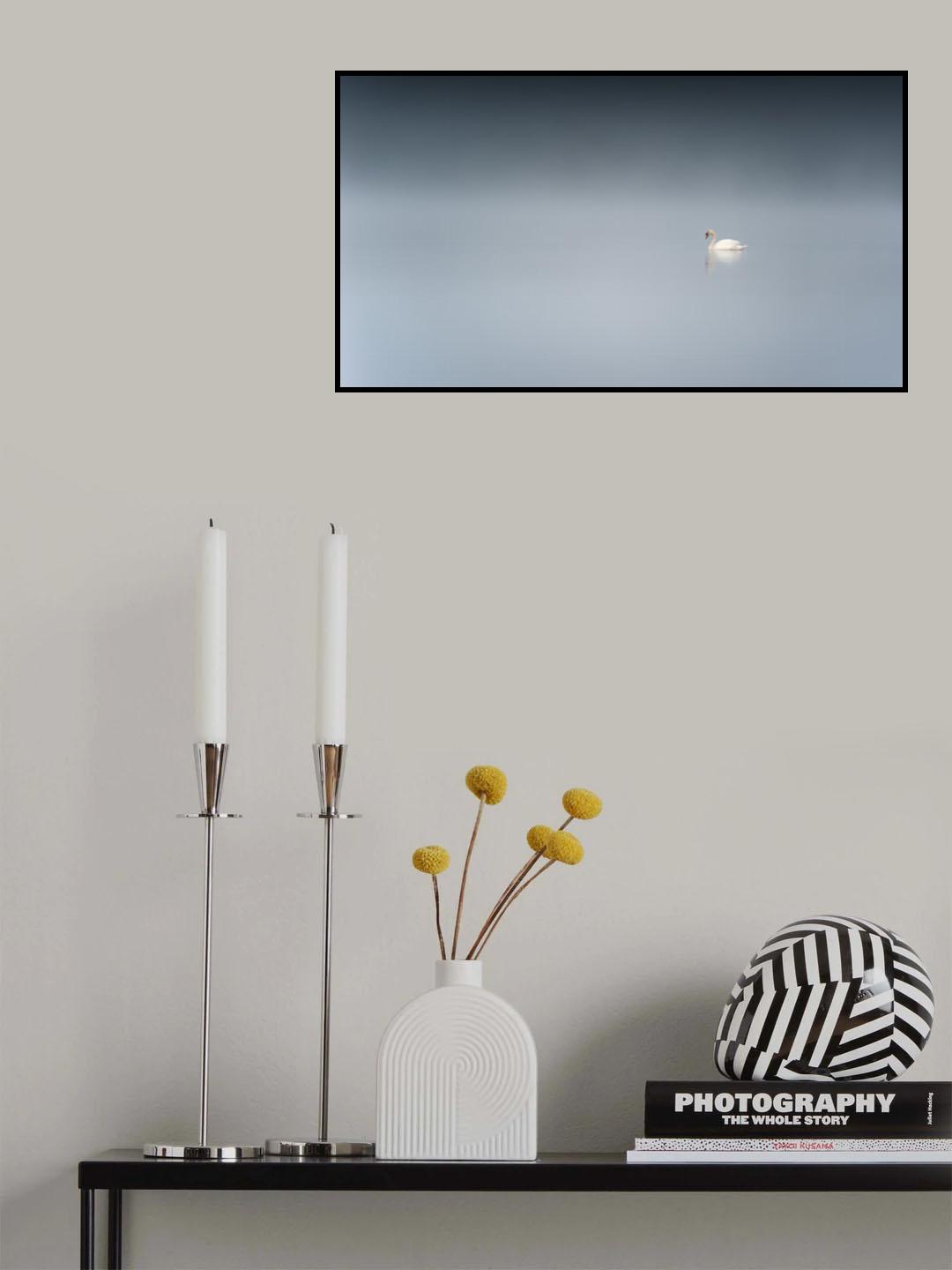 The sad swan Poster och Canvastavla