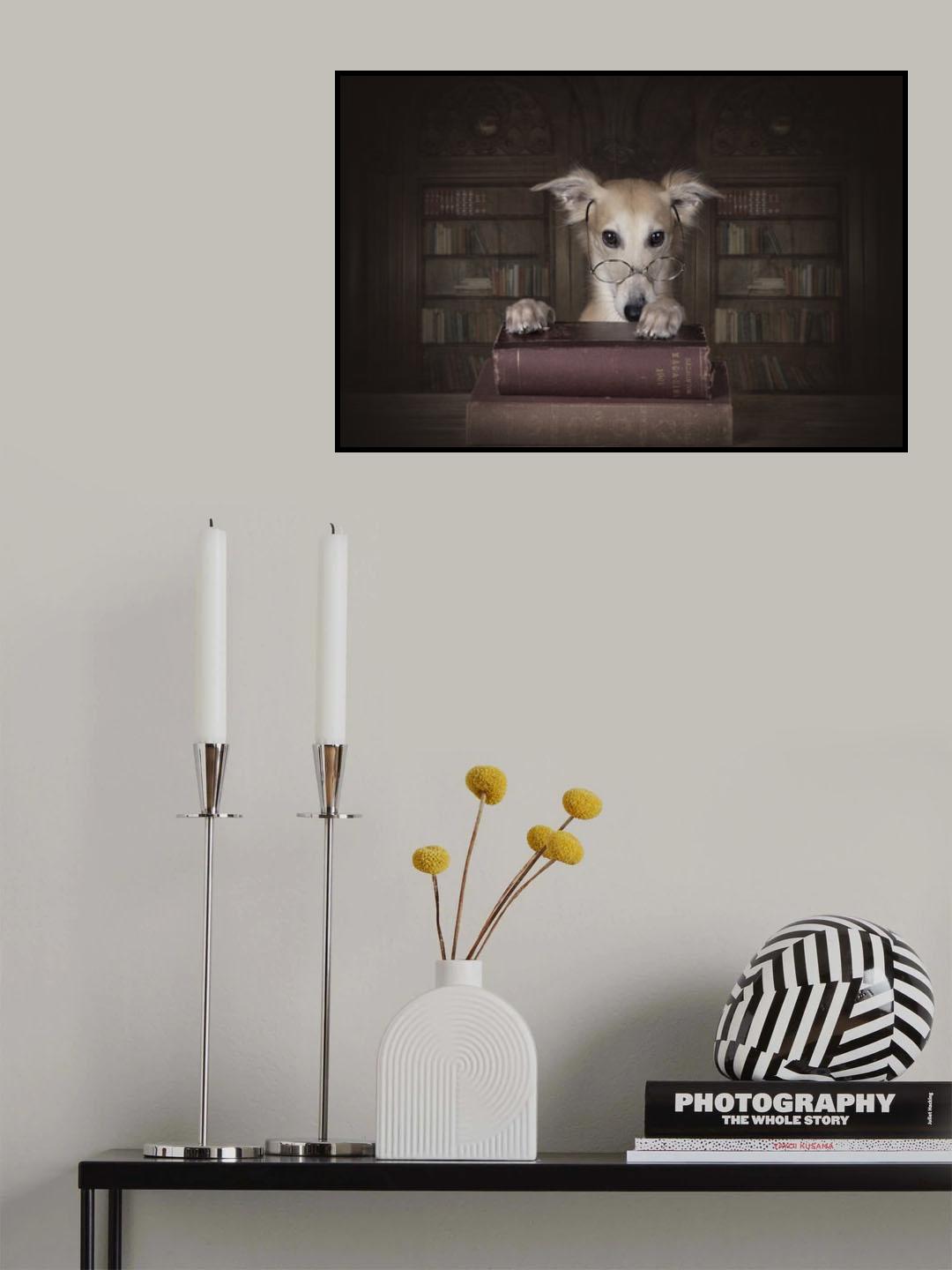 Professor Remus Poster och Canvastavla