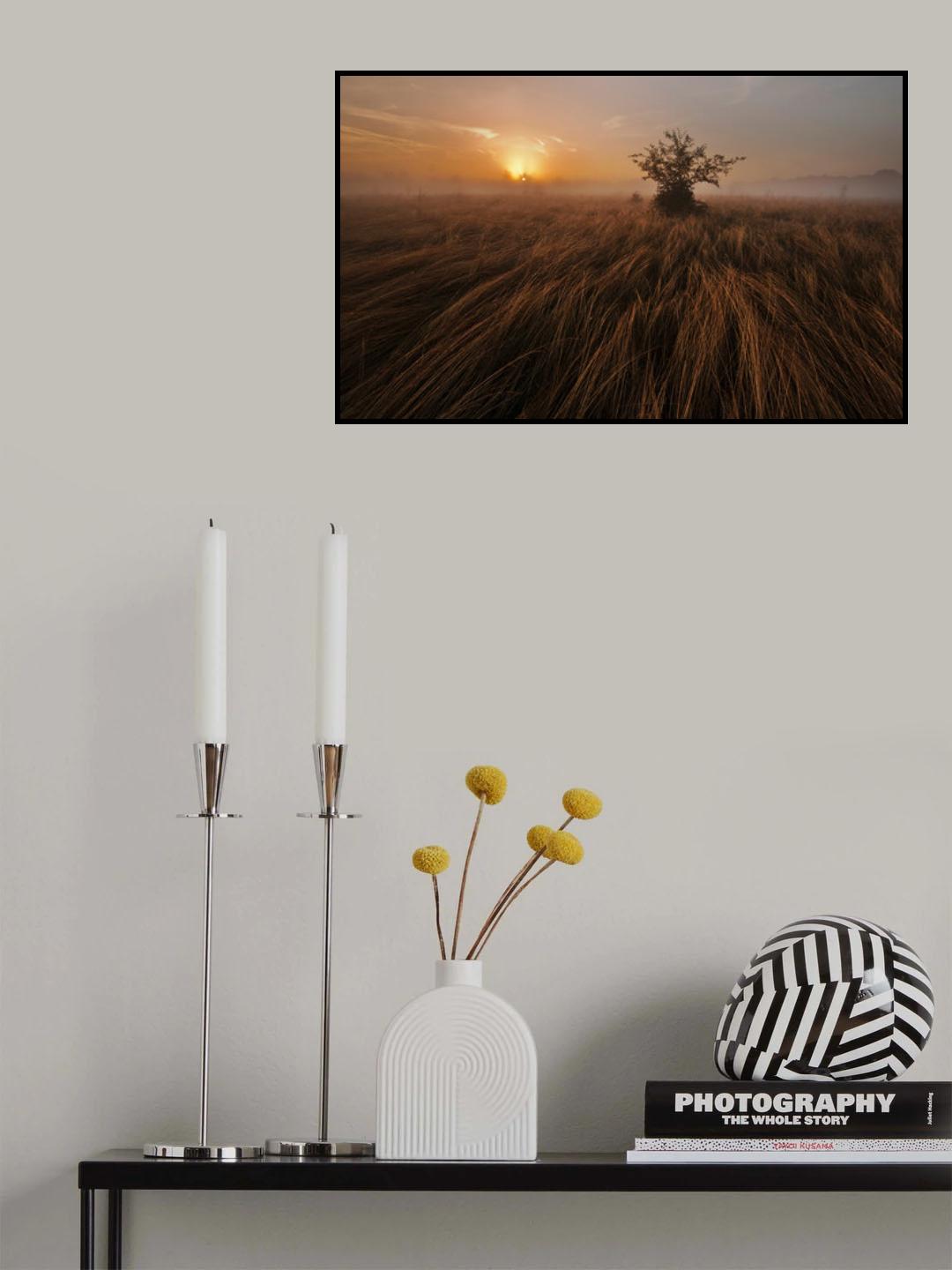 Go Away Poster och Canvastavla