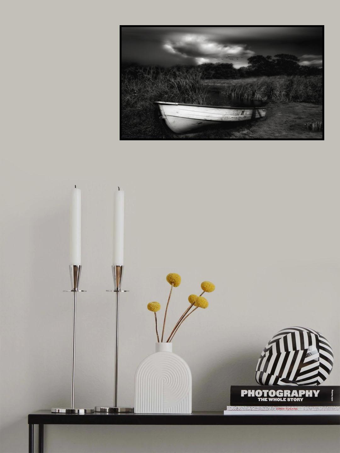 Beautiful! Magnificent desolation... Poster och Canvastavla