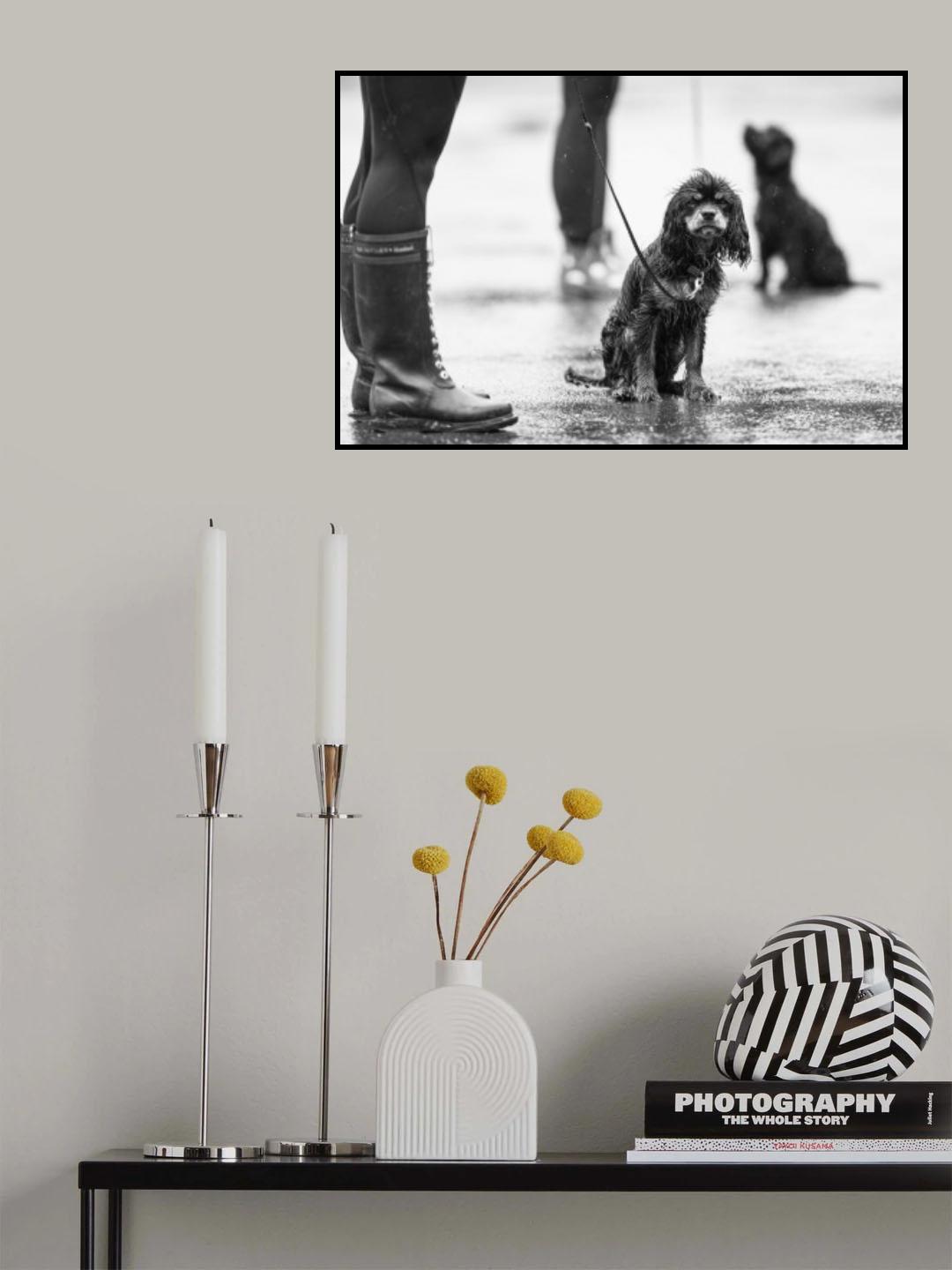 Its raining... Poster och Canvastavla