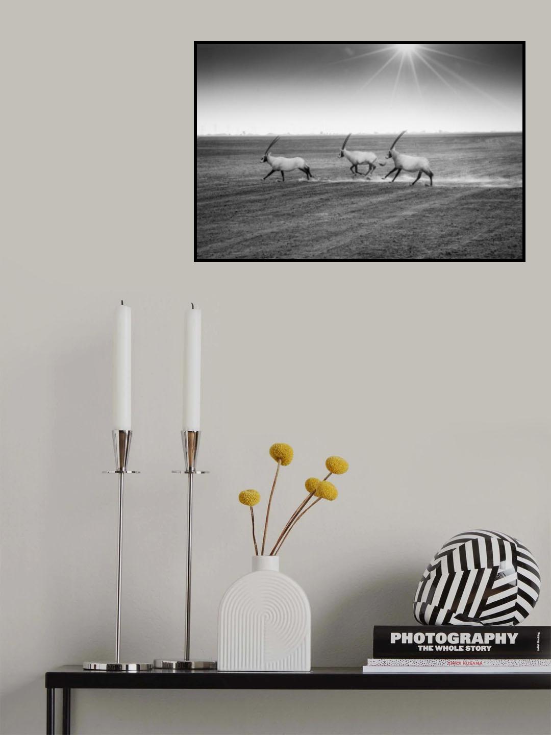 Late in the afternoon Poster och Canvastavla
