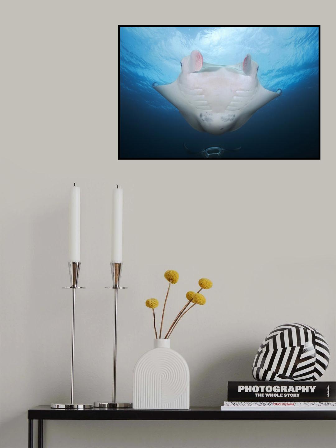 Manta mother Poster och Canvastavla