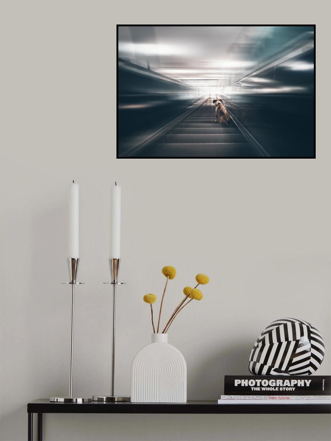 Into The Light Poster och Canvastavla