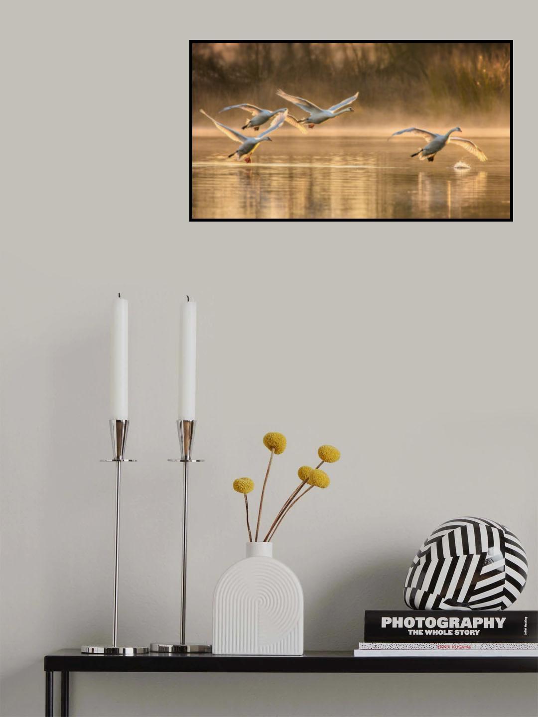 Morning Take Off Poster och Canvastavla
