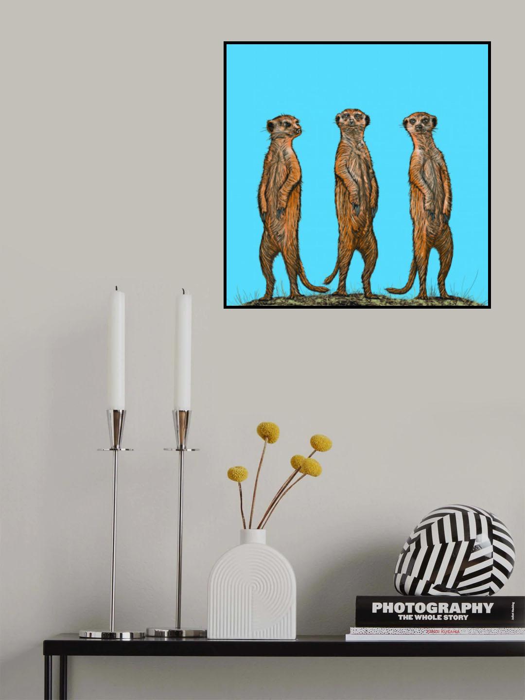 Meerkat Gang at Sunset Poster och Canvastavla