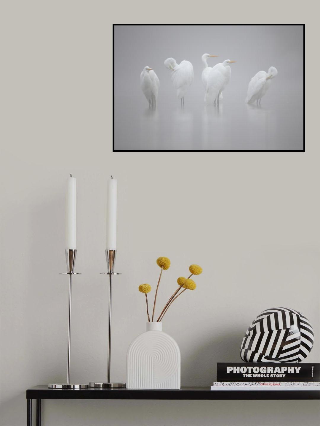 Les dames blanches Poster och Canvastavla